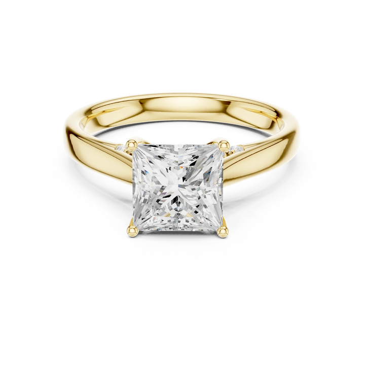 Princess Cut Diamond Cathedral Pave Engagement Ring