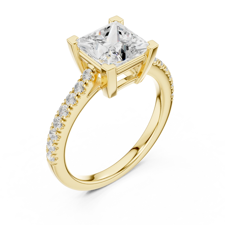 Princess Cut Diamond Pave Band Engagement Ring