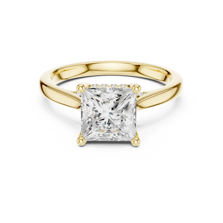 Princess Cut Diamond Hidden Halo Engagement Ring With Cathedral Pave