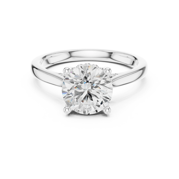 Round Cut Diamond Hidden Halo Engagement Ring With Cathedral Pave
