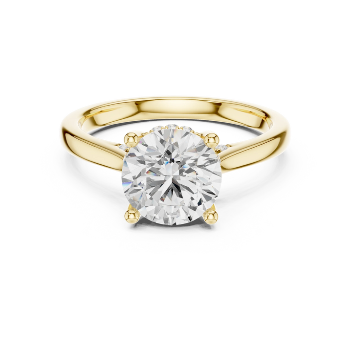 Round Cut Diamond Hidden Halo Engagement Ring With Cathedral Pave