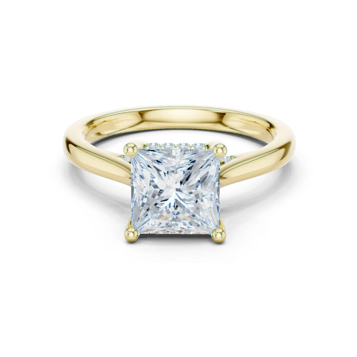 Princess Cut Diamond Hidden Halo Engagement Ring With Cathedral Pave